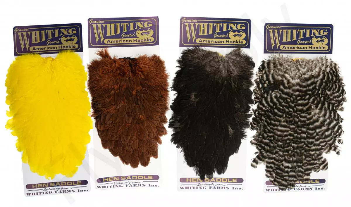 Whiting American Hen Saddle 3 Whiting American Hen Saddle