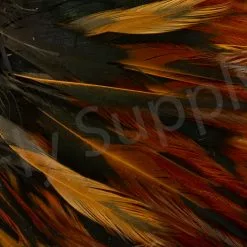 Whiting American Streamer Pack -Rod Tubes Verkoopwinkel Whiting American Streamer Pack WHITSTRPK X brown close