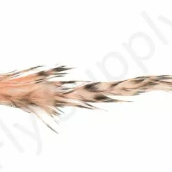 Whiting Bird Fur Feathers -Rod Tubes Verkoopwinkel Whiting Bird Fur Feathers WH61842 XXX dsc02531 bewerkt