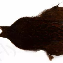 Whiting Brahma Hen Cape