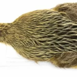 Whiting Brahma Hen Cape -Rod Tubes Verkoopwinkel Whiting Brama Hen Cape 32801 XXX dsc08238 bewerkt