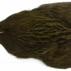 Whiting Brahma Hen Cape -Rod Tubes Verkoopwinkel Whiting Brama Hen Cape 32801 XXX dsc08243 bewerkt