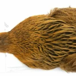 Whiting Brahma Hen Cape -Rod Tubes Verkoopwinkel Whiting Brama Hen Cape 32801 XXX dsc08250 bewerkt