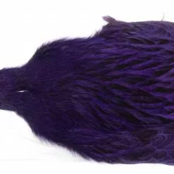 Whiting Brahma Hen Cape -Rod Tubes Verkoopwinkel Whiting Brama Hen Cape 32801 XXX dsc08253 bewerkt