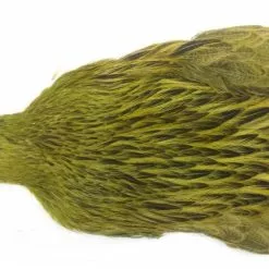 Whiting Brahma Hen Cape -Rod Tubes Verkoopwinkel Whiting Brama Hen Cape 32801 XXX dsc08256 bewerkt