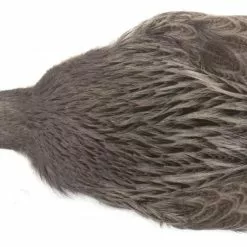 Whiting Brahma Hen Cape -Rod Tubes Verkoopwinkel Whiting Brama Hen Cape 32801 XXX dsc08264 bewerkt