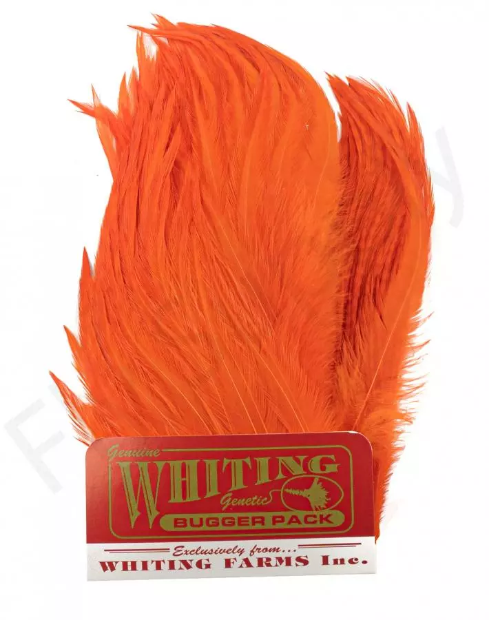 Whiting Bugger Pack 14 Whiting Bugger Pack - Afbeelding 12