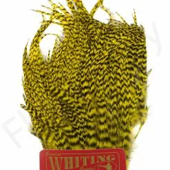 Whiting Bugger Pack 29 Whiting Bugger Pack -Rod Tubes Verkoopwinkel Whiting Bugger Pack WH91871 XXX dsc02560 bewerkt