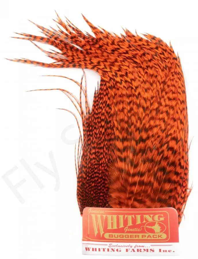 Whiting Bugger Pack 11 Whiting Bugger Pack - Afbeelding 9