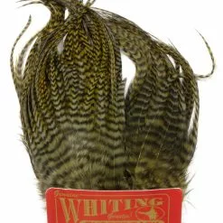 Whiting Bugger Pack 24 Whiting Bugger Pack -Rod Tubes Verkoopwinkel Whiting Bugger Pack WH91871 XXX dsc09125 bewerkt