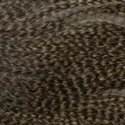 Whiting Coq De Leon Saddle Silver -Rod Tubes Verkoopwinkel Whiting Coq De Leon Saddle Silver WHIT COQSADDLESIL X dsc00946