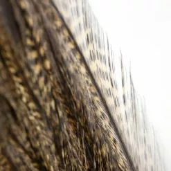 Whiting Coq De Leon Euro Nymph Tailing Pack 17 Whiting Coq De Leon Euro Nymph Tailing Pack -Rod Tubes Verkoopwinkel Whiting Coq de Leon Euro Nymph Tailing Pack WHIT CDLNYTAILPACK XXX img 6245 1