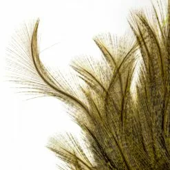 Whiting Coq De Leon Euro Nymph Tailing Pack 18 Whiting Coq De Leon Euro Nymph Tailing Pack -Rod Tubes Verkoopwinkel Whiting Coq de Leon Euro Nymph Tailing Pack WHIT CDLNYTAILPACK XXX img 6253 1