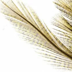 Whiting Coq De Leon Euro Nymph Tailing Pack 19 Whiting Coq De Leon Euro Nymph Tailing Pack -Rod Tubes Verkoopwinkel Whiting Coq de Leon Euro Nymph Tailing Pack WHIT CDLNYTAILPACK XXX img 6254 1