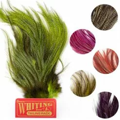 Whiting Coq De Leon Euro Nymph Tailing Pack