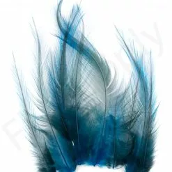 Whiting Coq De Leon Feathers 12 Pc Select -Rod Tubes Verkoopwinkel Whiting Coq de Leon Feathers 12 pc Select COQDL X dsc03264