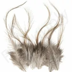 Whiting Coq De Leon Feathers 12 Pc Select -Rod Tubes Verkoopwinkel Whiting Coq de Leon Feathers 12 pc Select COQDL X dsc08402 bewerkt