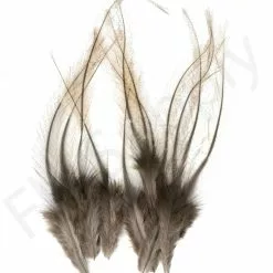 Whiting Coq De Leon Feathers 12 Pc Select -Rod Tubes Verkoopwinkel Whiting Coq de Leon Feathers 12 pc Select COQDL X dsc08403 bewerkt