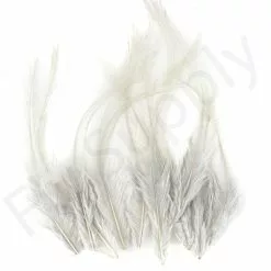 Whiting Coq De Leon Feathers 12 Pc Select -Rod Tubes Verkoopwinkel Whiting Coq de Leon Feathers 12 pc Select COQDL X dsc08404 bewerkt