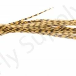 Whiting Dry Fly Saddle Feather Pack 18pc -Rod Tubes Verkoopwinkel Whiting Dry Fly Saddle Feather Pack 18pc DFSADSM X dsc00493 bewerkt