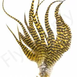 Whiting Grizzly Schlappen Feathers Long -Rod Tubes Verkoopwinkel Whiting Grizzly Schlappen Feathers Long WHIT SCHLAPBUND grizzly golden