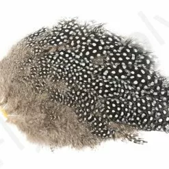 Whiting Guinea Fowl Breast -Rod Tubes Verkoopwinkel Whiting Guinea Fowl Breast WH28833 XXX dsc09903 bewerkt