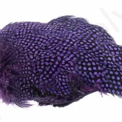 Whiting Guinea Fowl Breast -Rod Tubes Verkoopwinkel Whiting Guinea Fowl Breast WH28833 XXX dsc09904