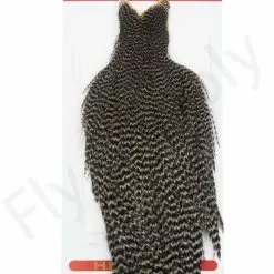 Whiting Hen Cape -Rod Tubes Verkoopwinkel Whiting Hen Cape WHIT HENCAPE XX dsc03920 bewerkt