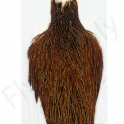 Whiting Hen Cape -Rod Tubes Verkoopwinkel Whiting Hen Cape WHIT HENCAPE XX dsc03922 bewerkt