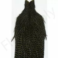 Whiting Hen Cape -Rod Tubes Verkoopwinkel Whiting Hen Cape WHIT HENCAPE XX dsc03929 bewerkt