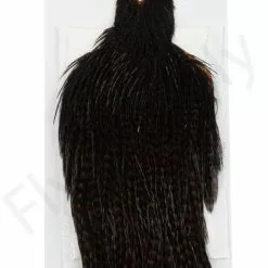 Whiting Hen Cape -Rod Tubes Verkoopwinkel Whiting Hen Cape WHIT HENCAPE XX dsc03930 bewerkt