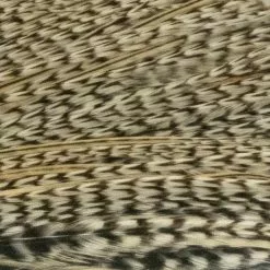 Whiting Pro 1/2 Cape 29 Whiting Pro 1/2 Cape -Rod Tubes Verkoopwinkel Whiting Pro 12 Cape WHIT HFCAPEPRO X dsc08114 bewerkt 2