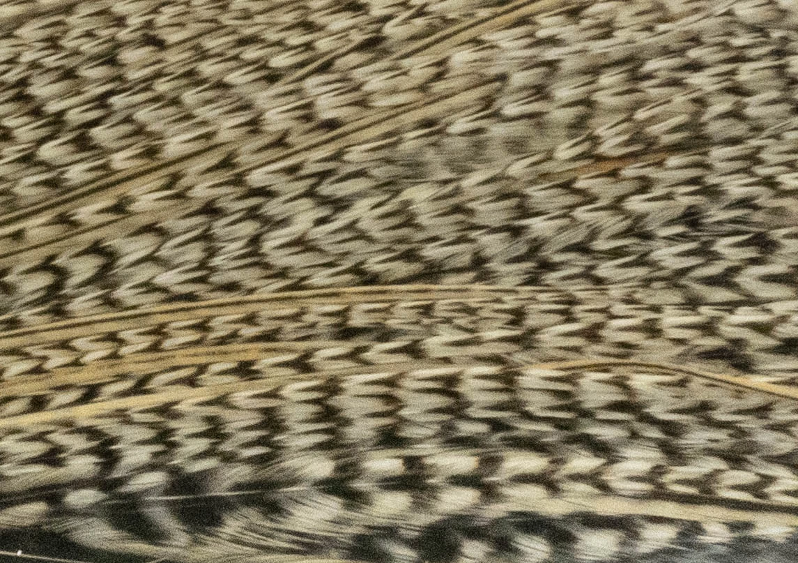 Whiting Pro 1/2 Cape 13 Whiting Pro 1/2 Cape - Afbeelding 11