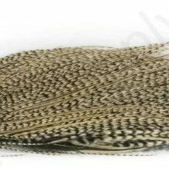 Whiting Pro 1/2 Cape 28 Whiting Pro 1/2 Cape -Rod Tubes Verkoopwinkel Whiting Pro 12 Cape WHIT HFCAPEPRO X dsc08114 bewerkt