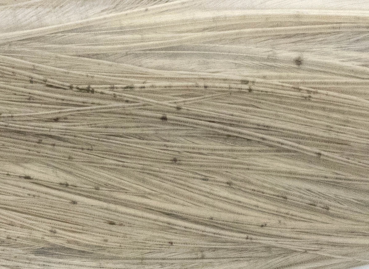 Whiting Pro 1/2 Cape 17 Whiting Pro 1/2 Cape - Afbeelding 15