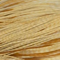 Whiting Pro 1/2 Cape 25 Whiting Pro 1/2 Cape -Rod Tubes Verkoopwinkel Whiting Pro 12 Cape WHIT HFCAPEPRO X dsc08294 bewerkt 2