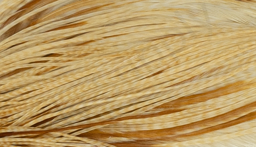 Whiting Pro 1/2 Cape 9 Whiting Pro 1/2 Cape - Afbeelding 7