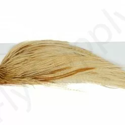 Whiting Pro 1/2 Cape 24 Whiting Pro 1/2 Cape -Rod Tubes Verkoopwinkel Whiting Pro 12 Cape WHIT HFCAPEPRO X dsc08294 bewerkt