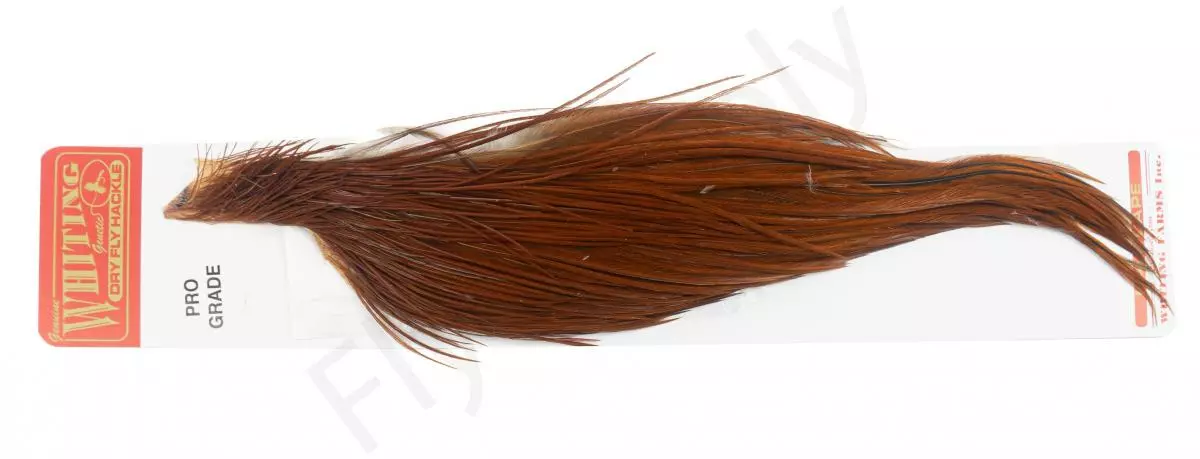 Whiting Pro 1/2 Cape 10 Whiting Pro 1/2 Cape - Afbeelding 8