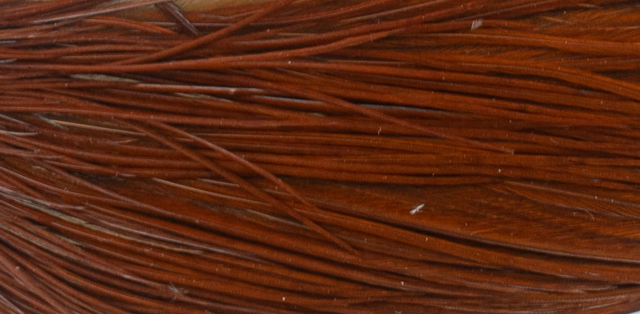 Whiting Pro 1/2 Cape 11 Whiting Pro 1/2 Cape - Afbeelding 9