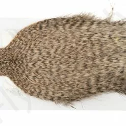 Whiting Pro Grade Spey Cape -Rod Tubes Verkoopwinkel Whiting Pro Grade Spey Cape WHIT SPEYPRO X dsc08435 bewerkt