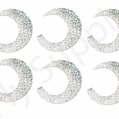 Wiggle Tails Medium 6pc Original Pacchiarini’s -Rod Tubes Verkoopwinkel Wiggle Tails Medium 6pc Original Pacchiarinis FSTYING WTM X holographic silver