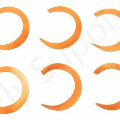 Wiggle Tails Small 6pc Original Pacchiarini’s -Rod Tubes Verkoopwinkel Wiggle Tails Small 6pc Original Pacchiarinis FSTYING WTS X dsc02934 bewerkt