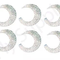 Wiggle Tails XXL 6pc Original Pacchiarini’s -Rod Tubes Verkoopwinkel Wiggle Tails XXL 6pc Original Pacchiarinis FSTYING WTXXL X holographic silver