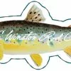 Winston Brown Trout Sticker 2.5 Inch -Rod Tubes Verkoopwinkel Winston Brown Trout Sticker 25 Inch WINBROWN25STICKER small sticker 25 1