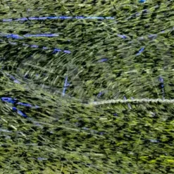 XXL Pike Chenille 10CM Long Fibres 17 XXL Pike Chenille 10CM Long Fibres -Rod Tubes Verkoopwinkel XXL Pike Chenille 10CM Long Fibres FS TYING XXLPC X dsc09855 bewerktkopie 2