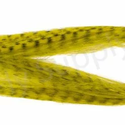 Pike Monkey Zebra Hair -Rod Tubes Verkoopwinkel img 1683 bewerkt wm