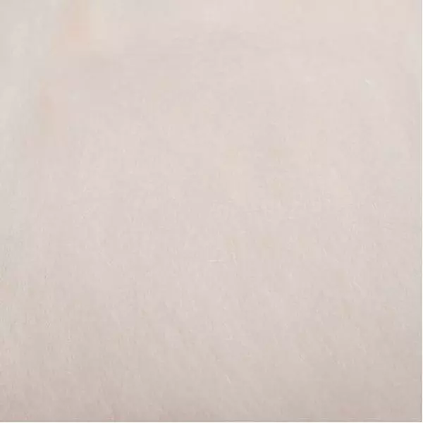 Pike Monkey Predator Monkey Dub 4 Pike Monkey Predator Monkey Dub - Afbeelding 2