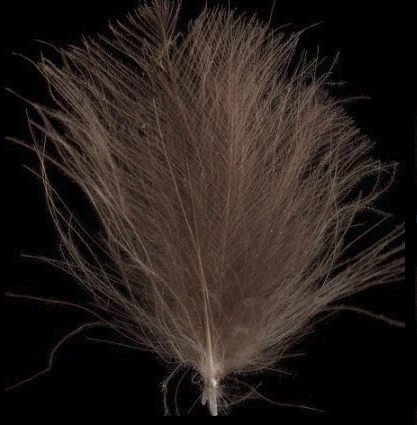 Swiss CDC Ultra Select XL Feathers 21 Swiss CDC Ultra Select XL Feathers - Afbeelding 19