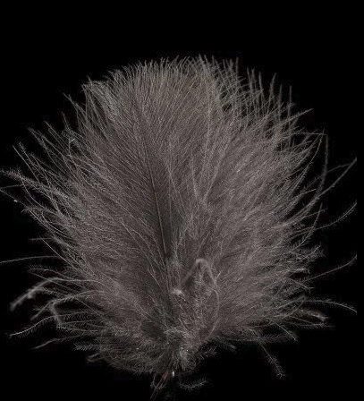 Swiss CDC Ultra Select XL Feathers 27 Swiss CDC Ultra Select XL Feathers - Afbeelding 25